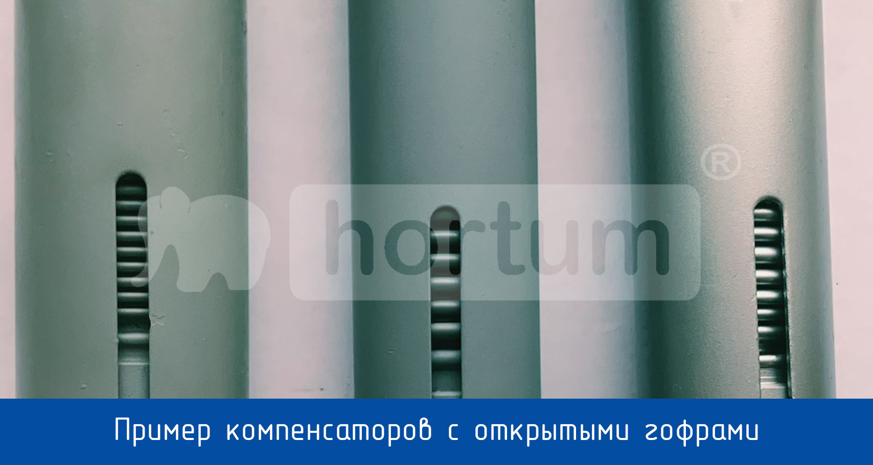 17 КОЖУХ. ОТКРЫТЫЕ УЧАСТКИ СИЛЬФОНА